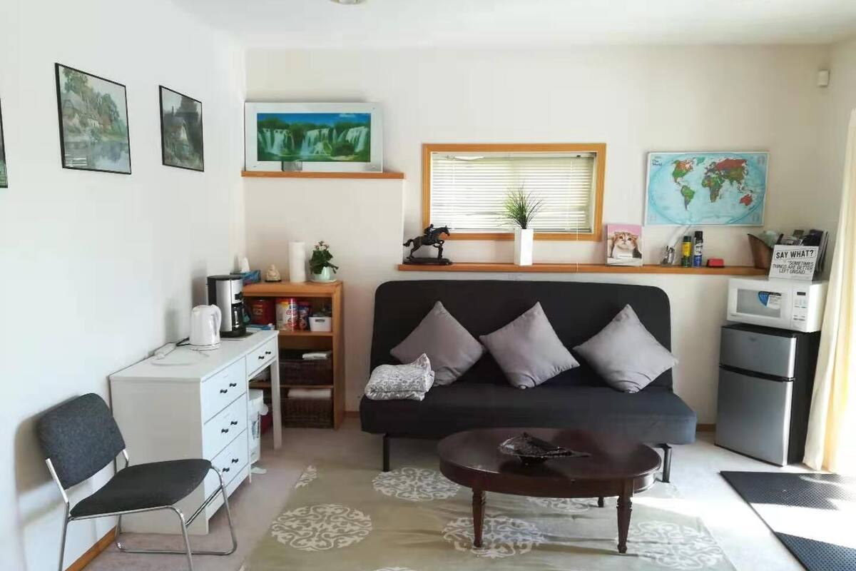 Presidential Suite, 2 Bedrooms, Non Smoking, Refrigerator & Microwave | Living area | 55-inch LED TV with digital channels, TV, Netflix