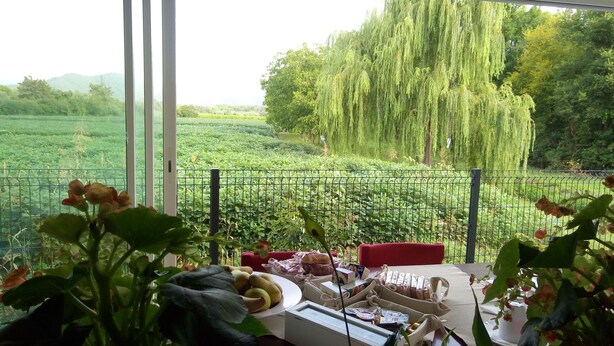 Une terrasse avec une table dressée pour le dîner, donnant sur un jardin luxuriant et un champ.