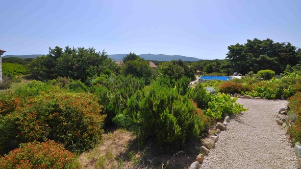 Un sentier de jardin mène à un espace piscine, entouré d’une végétation luxuriante et avec des collines en arrière-plan.