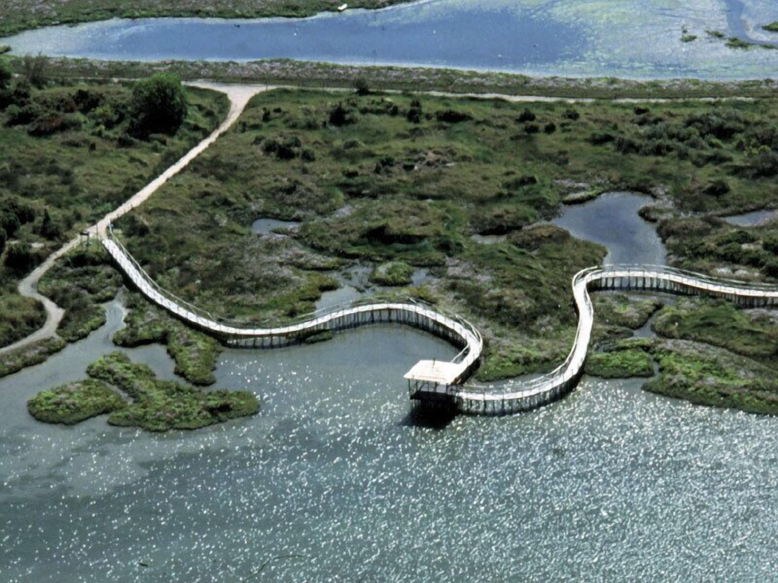 An aerial view of a winding bridge over a body of water with surrounding marshland.