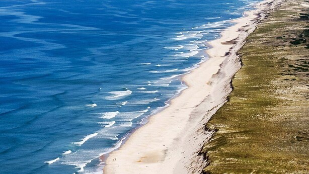 Vista aerea di una spiaggia con un lungo tratto di costa sabbiosa e onde che si infrangono sulla riva.