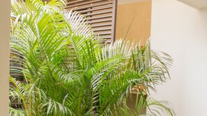 A small indoor garden with palm plants, large rocks, and a brick pathway. - Villago Residences (Santo Domingo)