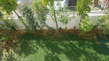 Área da propriedade