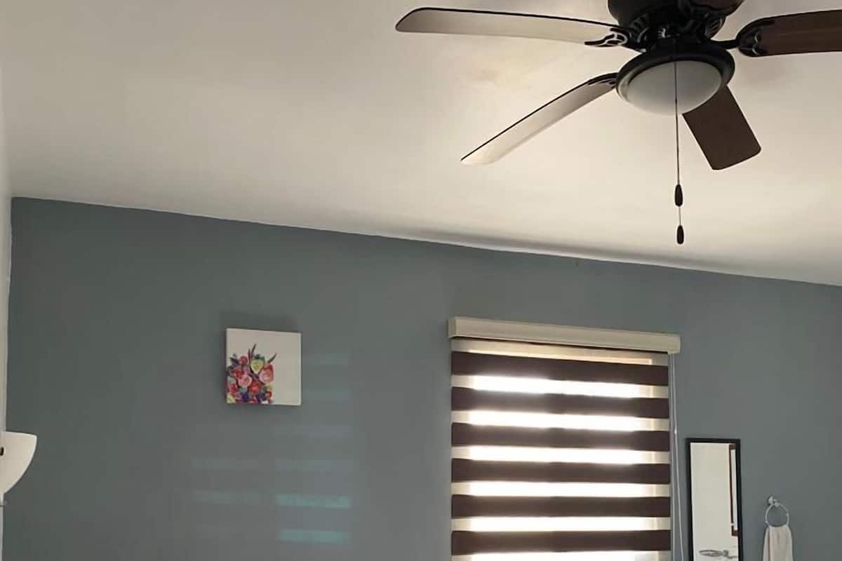 A bedroom with a bed, pillows, a ceiling fan, a window with blinds, a wall-mounted mirror, and a small artwork.