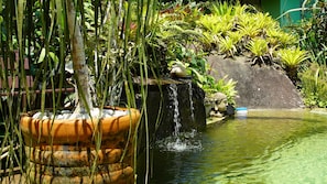 Outdoor pool, a natural pool, pool loungers