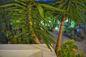 Departamento básico, vista al patio | Vista del balcón