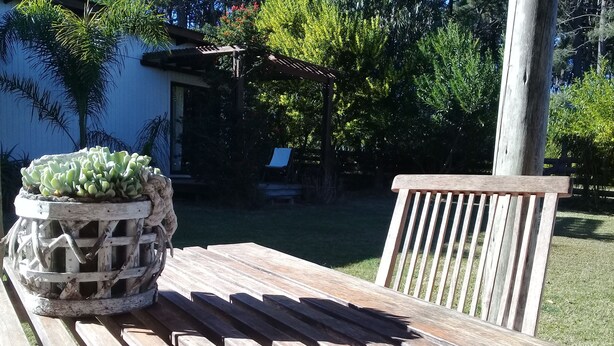 A wooden table with a potted plant and a wooden chair. - LA MAISON Suites & Gastronomía (La Paloma)