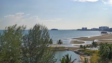 Beach/ocean view