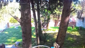 Ein Gartenbereich mit Bäumen, einem Gartenschlauch und einer blauen Vase.