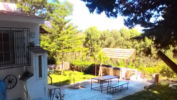 Eine Terrasse mit Tisch und Stühlen, umgeben von Grünpflanzen und einem kleinen Garten.