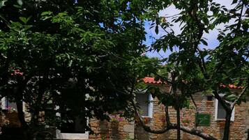 Free daily local cuisine breakfast