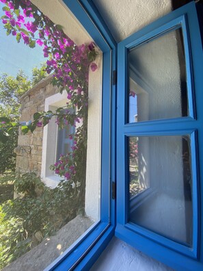 Front of property - Mustafa'nin Fidan'i (Gökçeada)