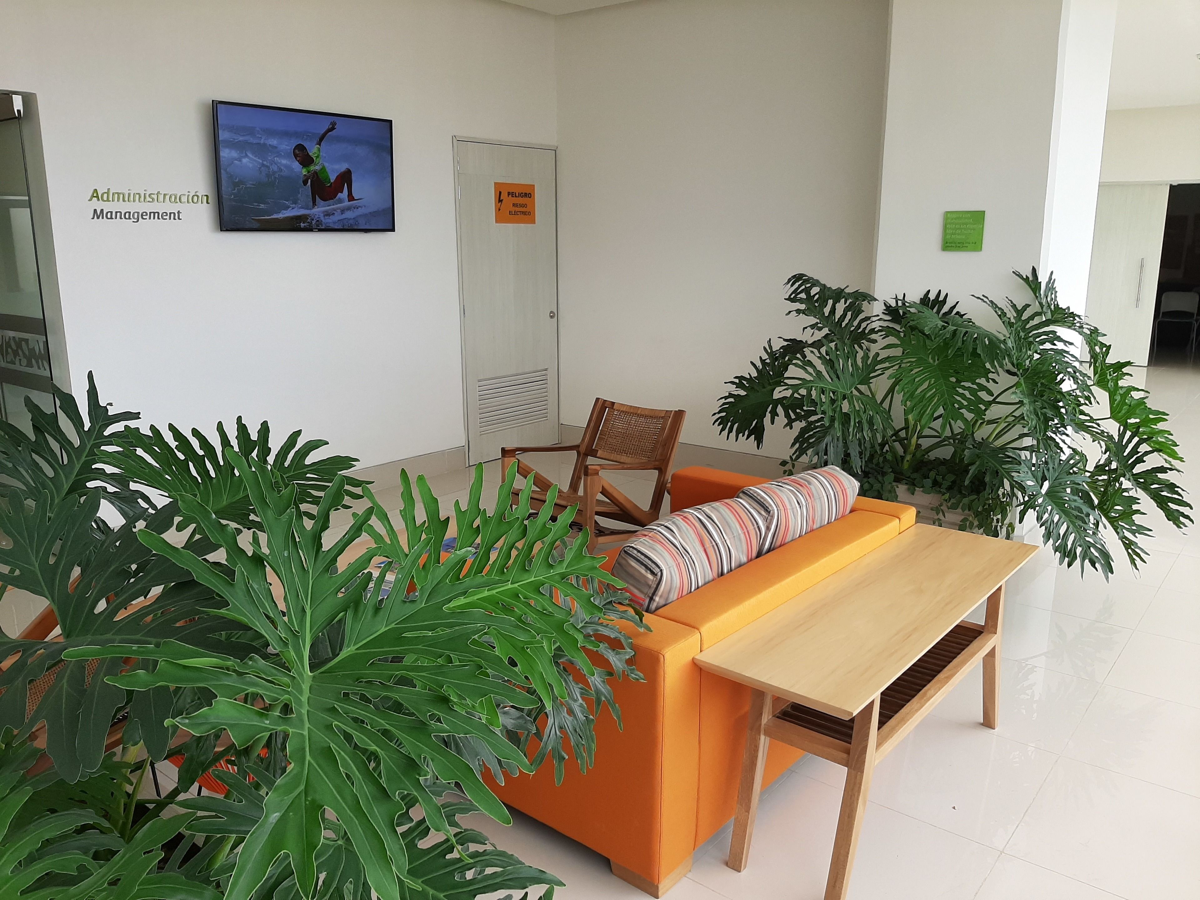 A reception area with a sofa, a wooden table, and potted plants.