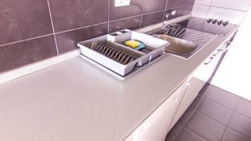 Een moderne keuken met een roestvrijstalen spoelbak, een afdruiprek en een inbouwoven.