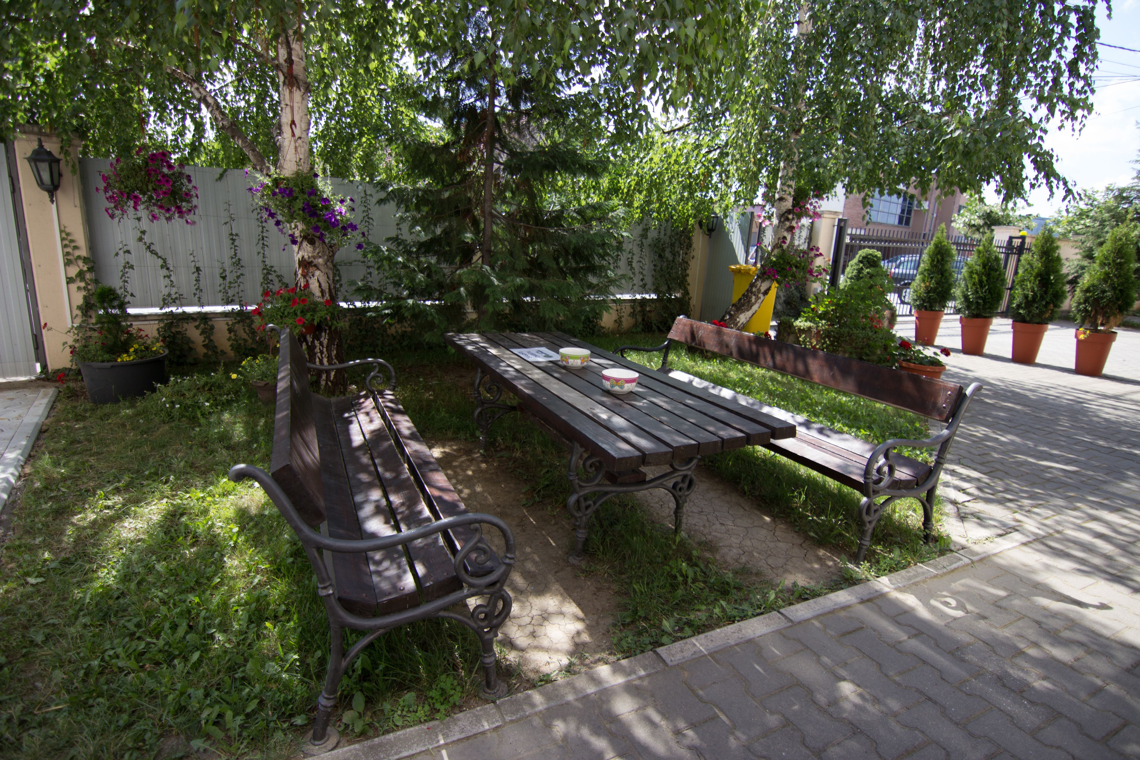An outdoor seating area with a wooden table and benches, surrounded by potted plants and a tree.