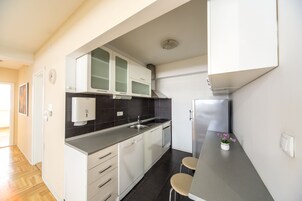 Premium Apartment | Private kitchen | Mini-fridge, electric kettle, toaster, paper towels