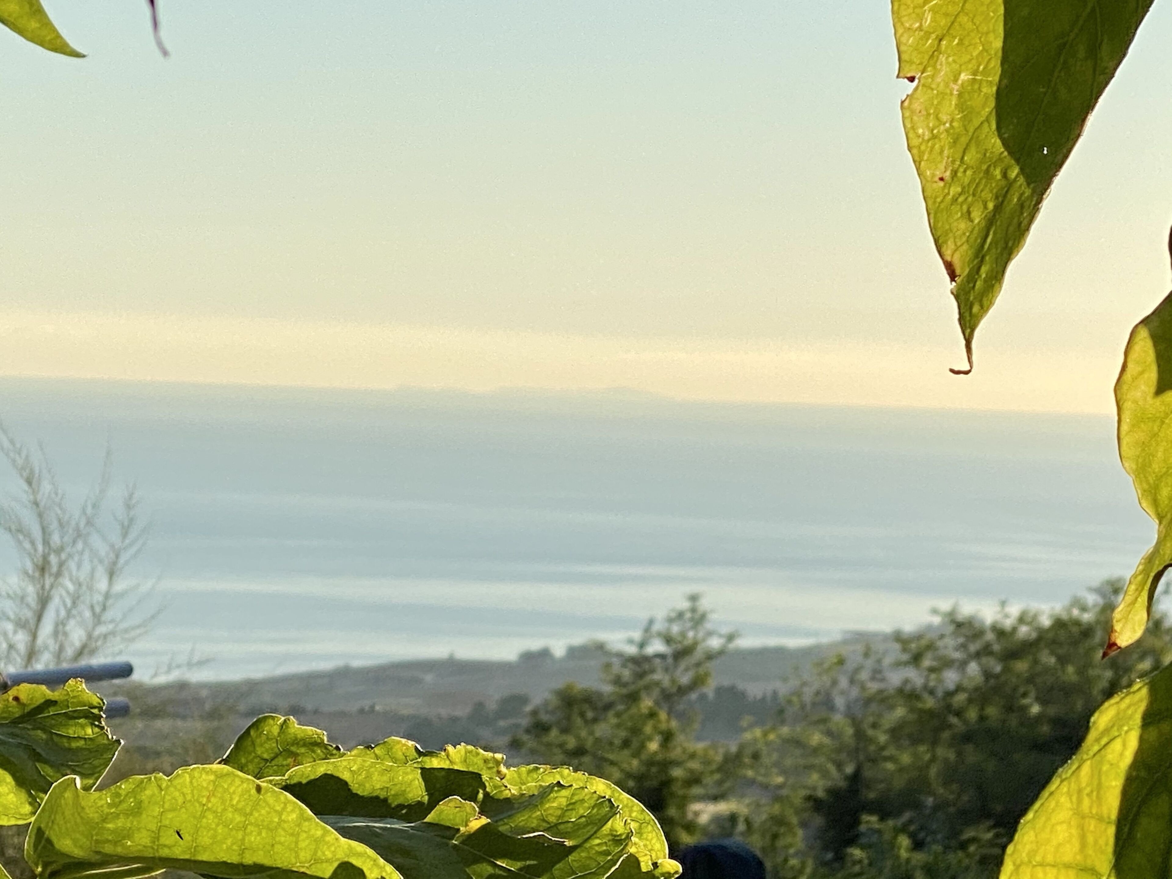 Blick auf eine Küstenlandschaft mit blauem Himmel und weiter Fernsicht.