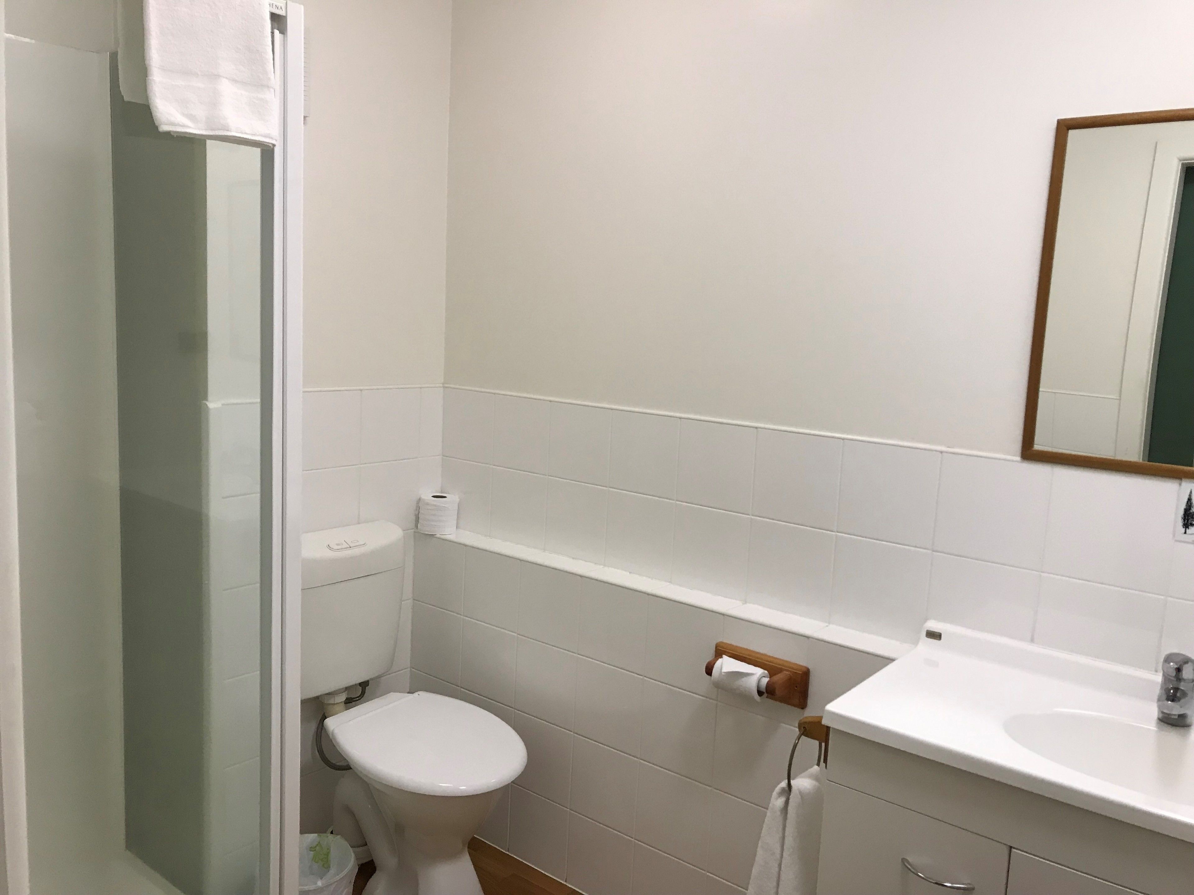A small, clean bathroom with a toilet, a sink, and a mirror.