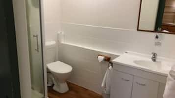 Un baño con inodoro, lavabo y ducha.