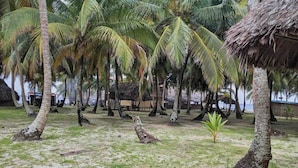 A beach area with palm trees, a thatched-roof structure, and a sandy ground. -  San Blas Paradise Private Cabins on Shipwreck Island - meals included (Ailigandi)