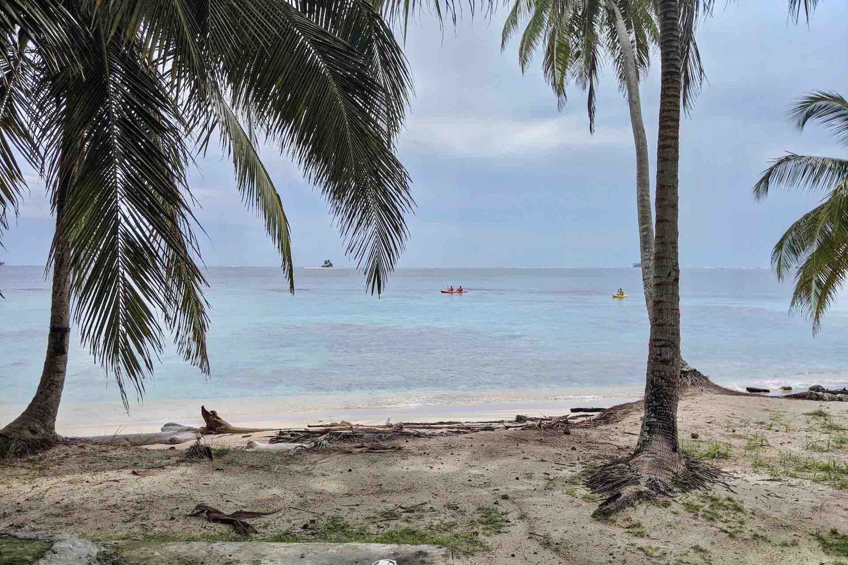 Une plage bordée de palmiers et aux eaux calmes.