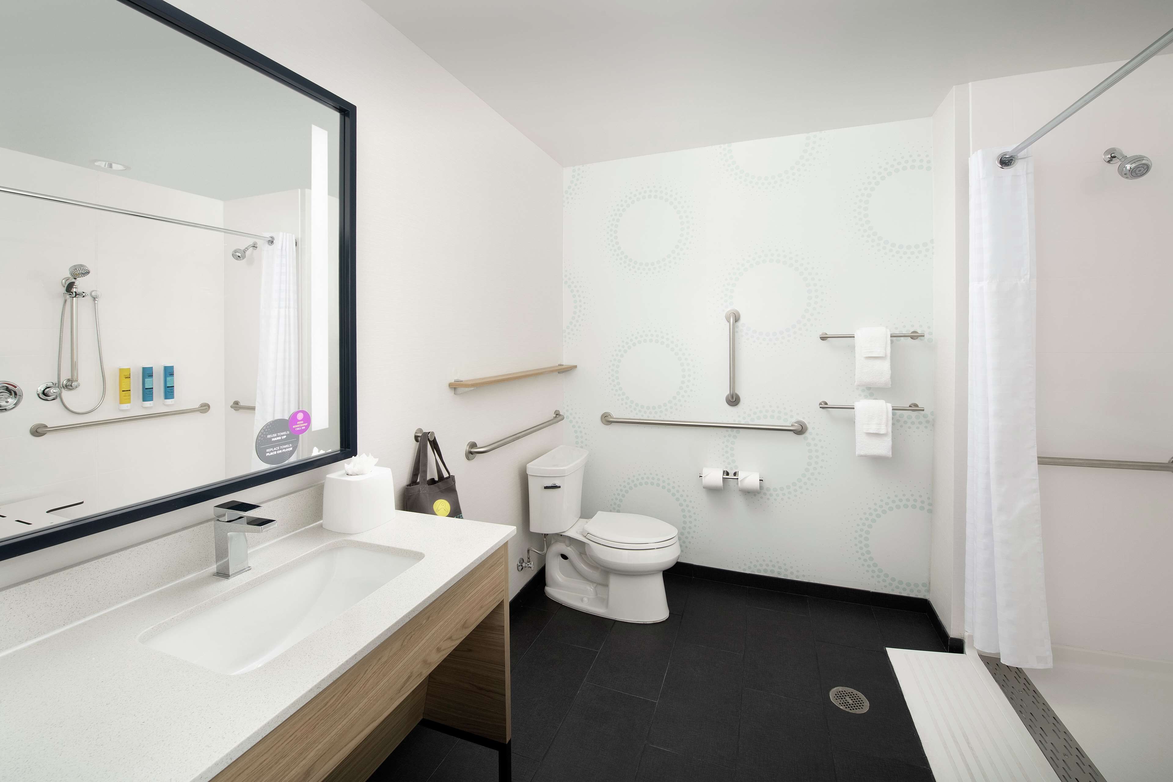 room, 1 king bed, accessible (roll-in shower) | bathroom shower