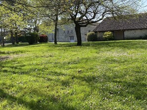 A grassy courtyard with a stone building and a tree.