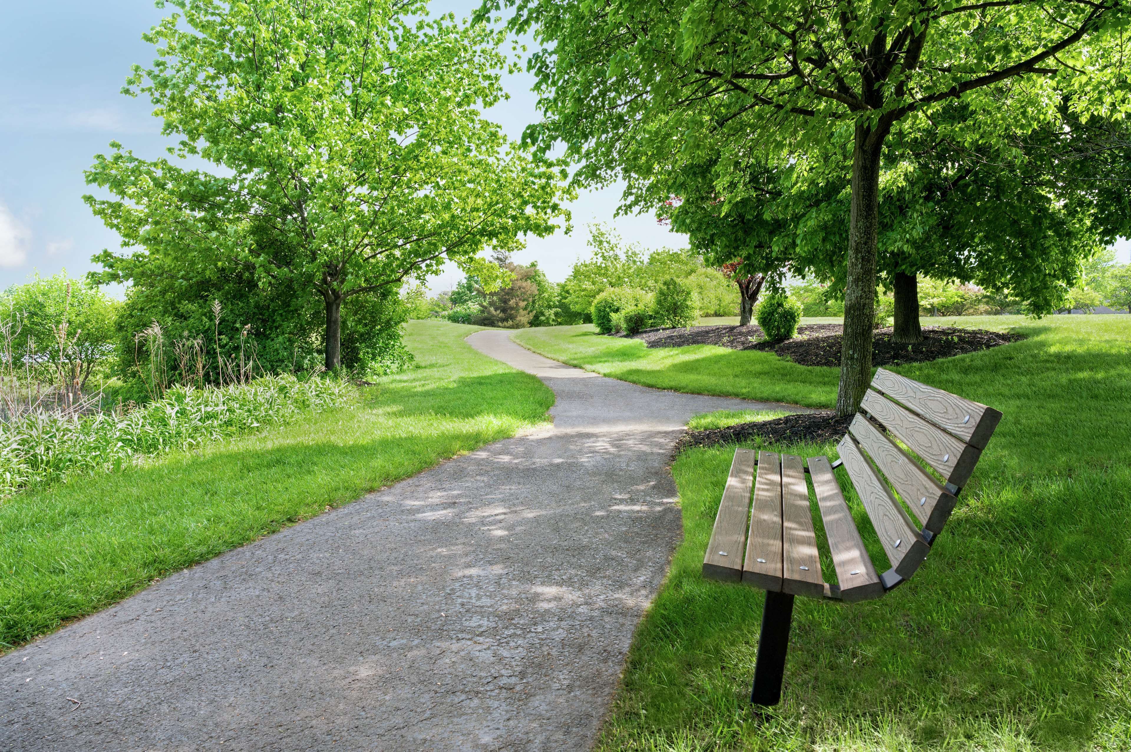 A paved pathway in a park with a wooden bench on the right.