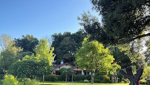 Ein Garten mit einem Haus im Hintergrund, umgeben von verschiedenen Pflanzen und Blumen.