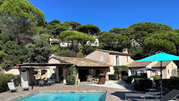 A swimming pool with lounge chairs and umbrellas, surrounded by buildings and trees.