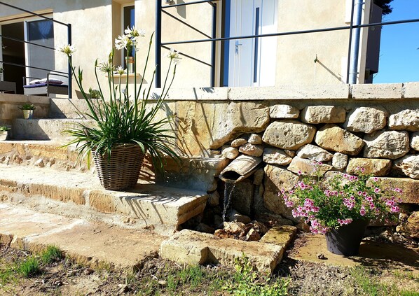 Detalle del exterior