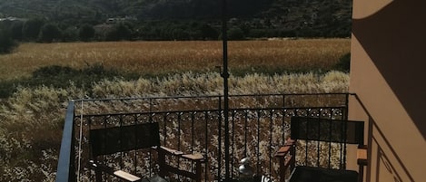 Terrassa o pati