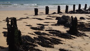 A beach with seaweed-covered rocks and a clear view of the ocean. - St Ives Cottage near beach. Sleeps 4, with Courtyard Garden + Log Burner (Saint Ives)