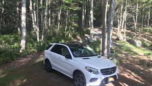 A white SUV parked on a forest trail. - Stunning Lake Front Home (Glen Spey)