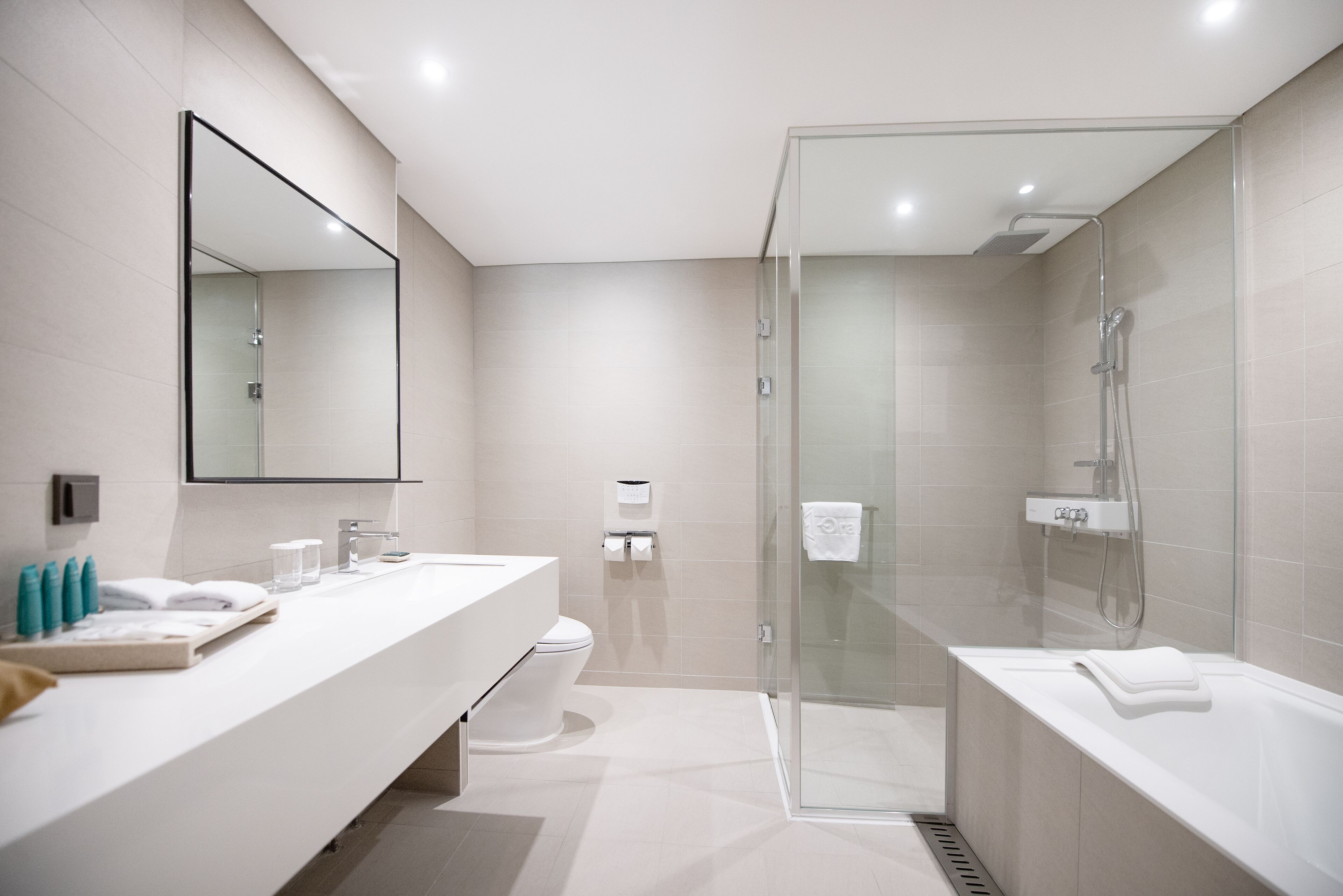 shower, hair dryer, bathrobes, slippers