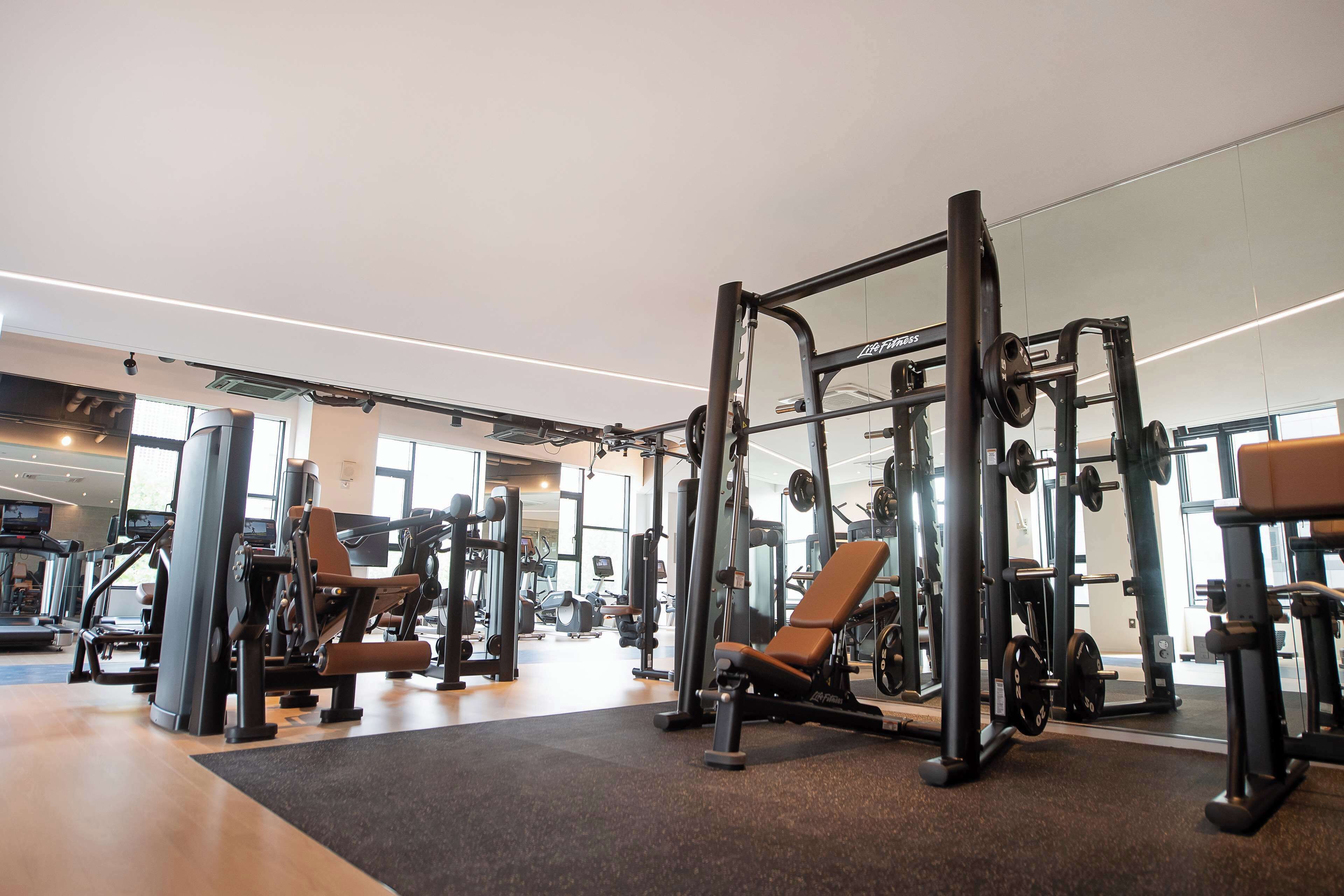 A gym with various exercise machines, a weight bench, and a mirrored wall.