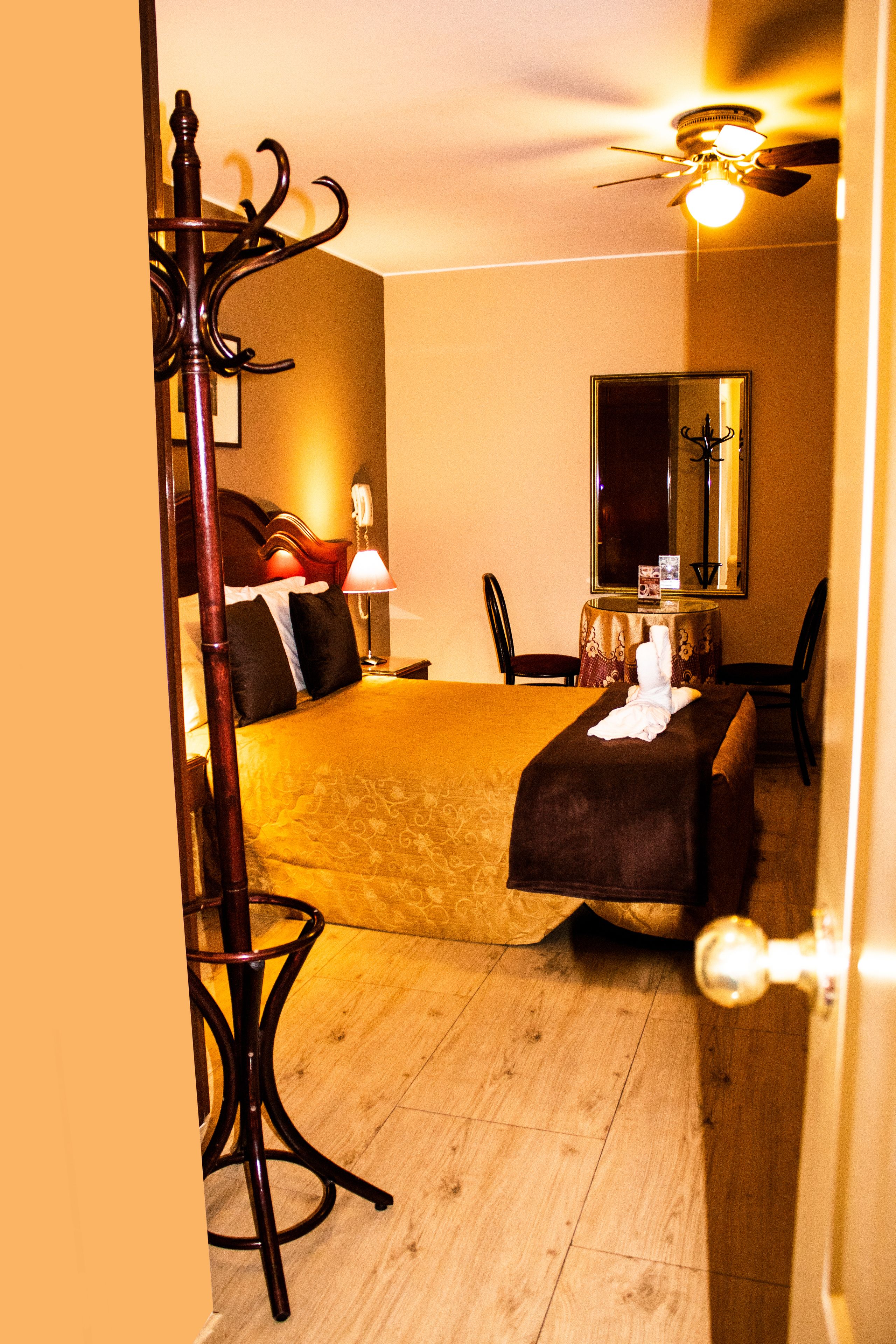 A hotel room with a bed, a desk, a chair, a lamp, a mirror, and a ceiling fan.
