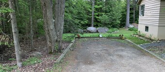 Quiet Abode walking distance from  Downtown