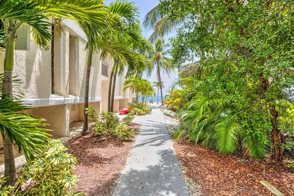 A pathway lined with palm trees and a building with a light-colored facade.