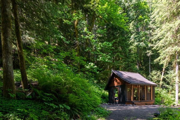 Exterior - Little House On The Mountain--ZigZag Mountain View (Rhododendron)