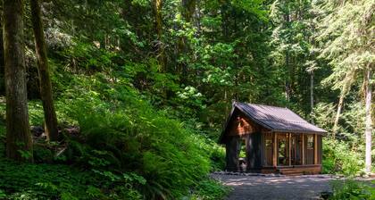 Little House On The Mountain--ZigZag Mountain View