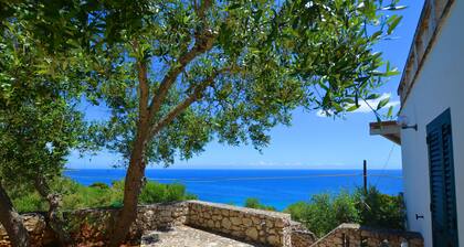 Whole villa with 2 apartments and 180° sea view