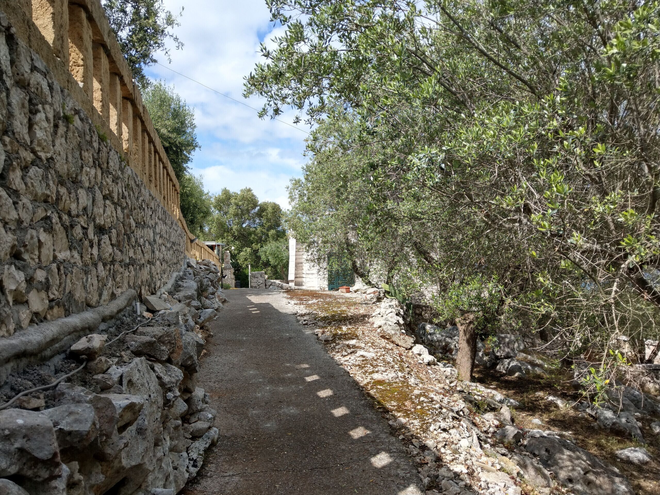 A narrow stone pathway flanked by olive trees and a stone wall, leading to a building with a green door.