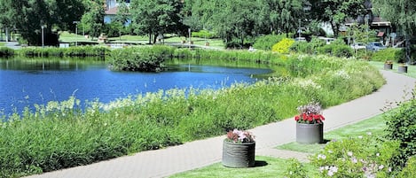 Terrein van de accommodatie