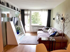 Flat-screen TV, DVD player