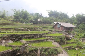 Terraced rice fields with a small brick house in the foreground. - Sau Meo Homestay (Sa Pa)