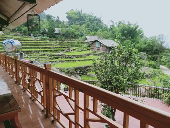 Desk, soundproofing, iron/ironing board, free WiFi