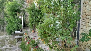 A stone pathway leading to a rustic building with a wooden roof and stone walls.