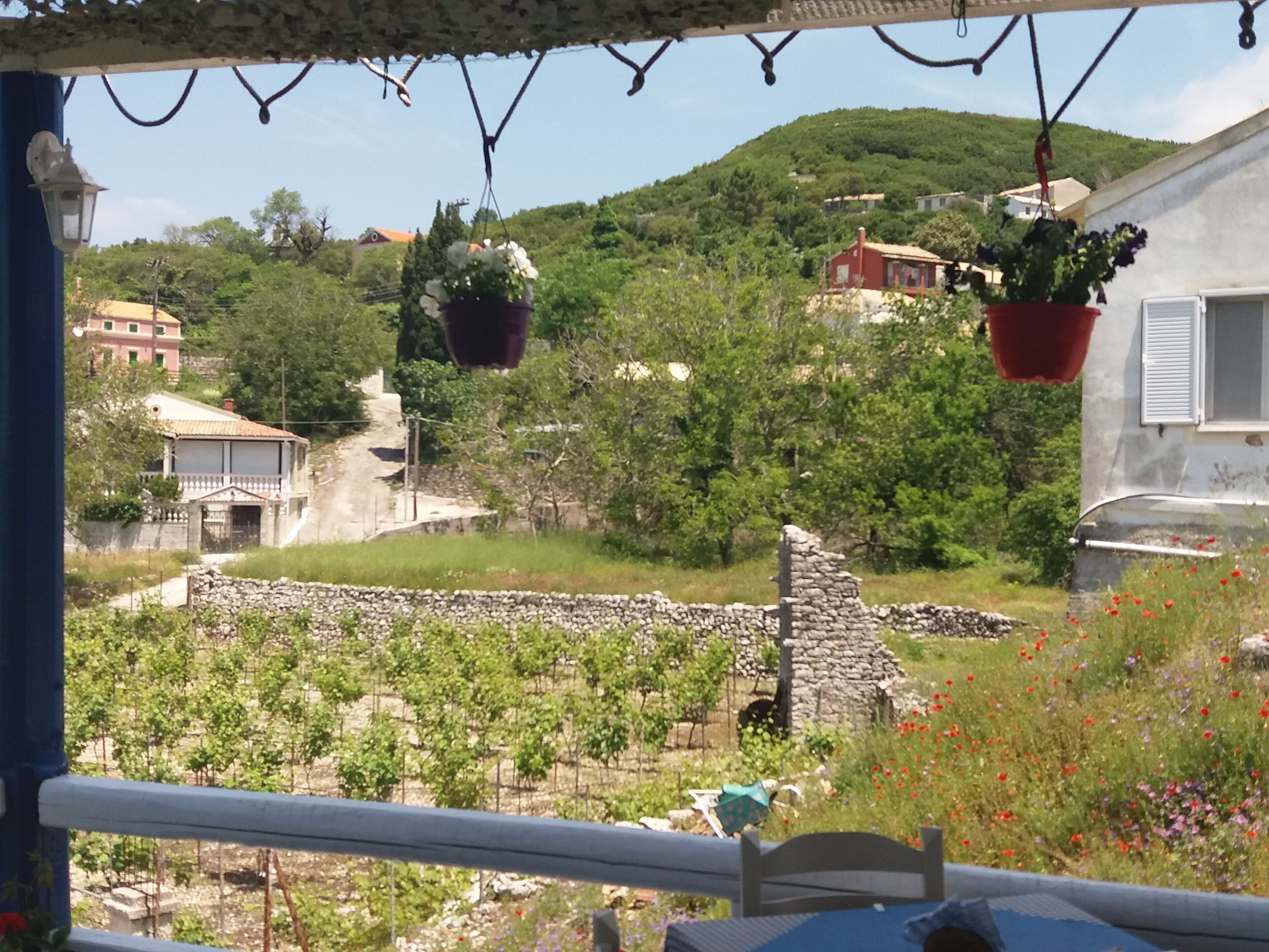 Ein Balkon mit hängenden Blumentöpfen, einer Steinmauer und Blick auf einen Weinberg sowie Häuser am Hang.