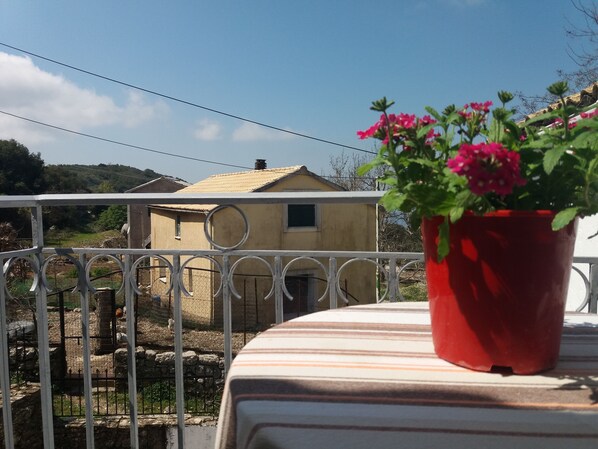 Property grounds - Elm Tree tiny but unique property in Pantokratoras mountain :) (Corfu)